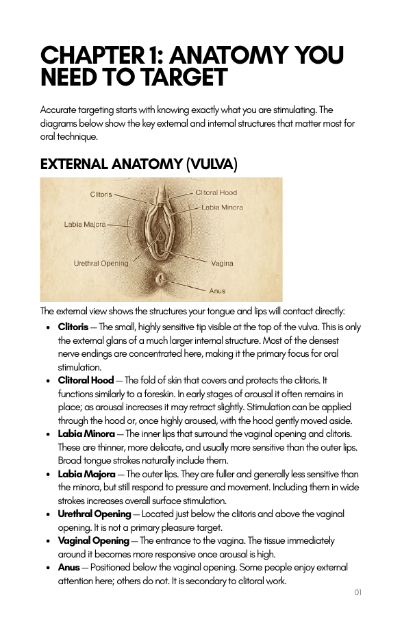 Preview of the anatomy chapter from The Clitoral Playbook